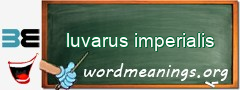WordMeaning blackboard for luvarus imperialis